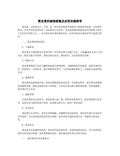 黄皮果的栽培措施及应用实践探寻