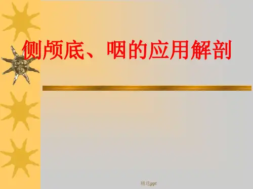 侧颅底、咽的应用解剖