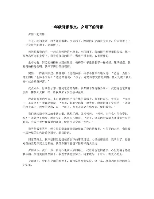 二年级背影作文：夕阳下的背影