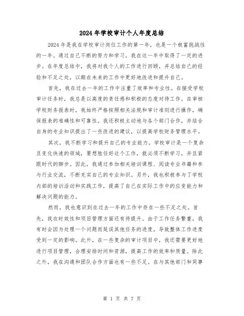 2024年学校审计个人年度总结(3篇)