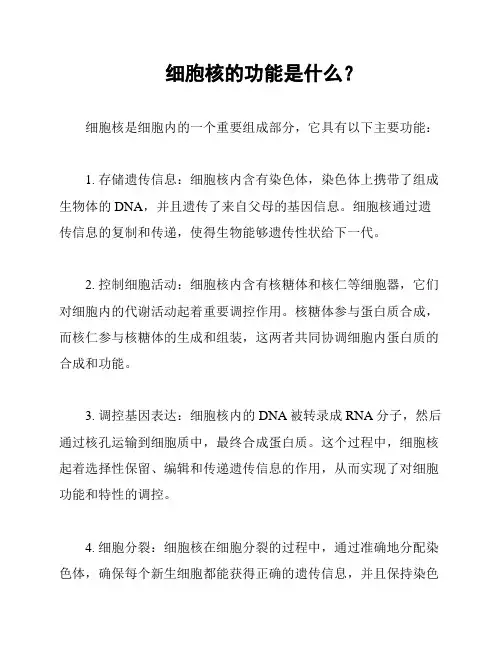 细胞核的功能是什么？