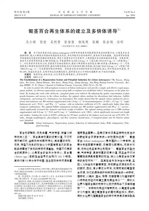 匍茎百合再生体系的建立及多倍体诱导