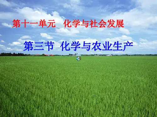 鲁教版九年级化学下册【课件一】 化学与农业生产