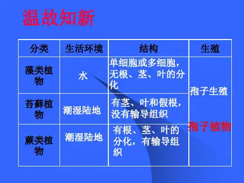 初一生物《种子植物》PPT课件(1)