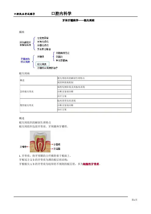 牙体牙髓病学——根尖周病讲义
