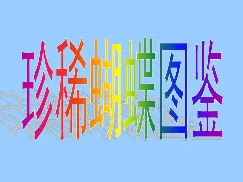 珍稀蝴蝶图鉴(31种)资料