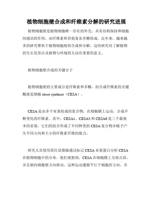 植物细胞壁合成和纤维素分解的研究进展
