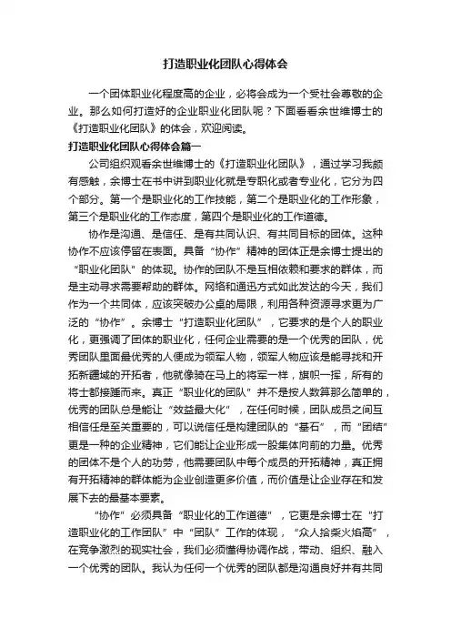 打造职业化团队心得体会