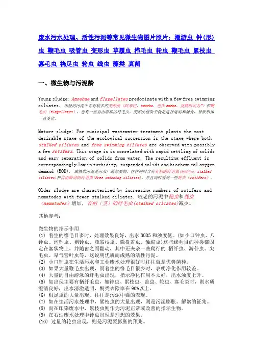 微生物的指示作用 Microsoft Word 文档