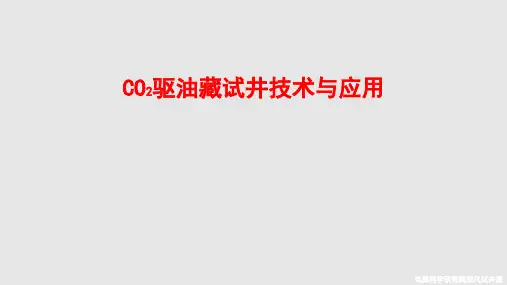 二氧化碳驱油藏试井技术与应用PPT课件