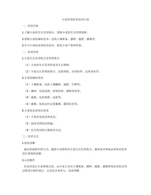 小麦管理技术培训计划