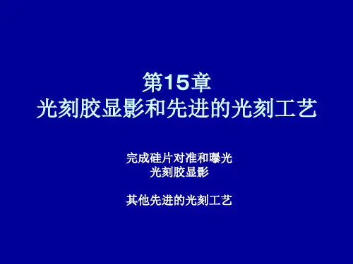 光刻胶显影和先进的光刻工艺 共43页