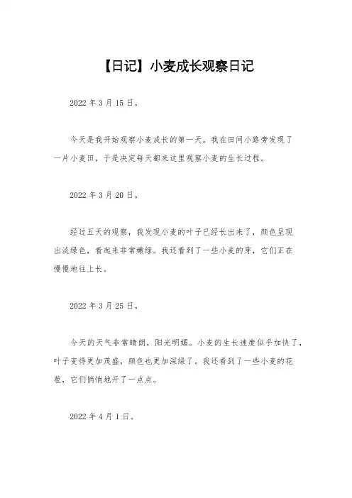 【日记】小麦成长观察日记