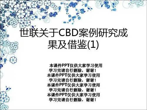 世联关于CBD案例研究成果及借鉴(1)