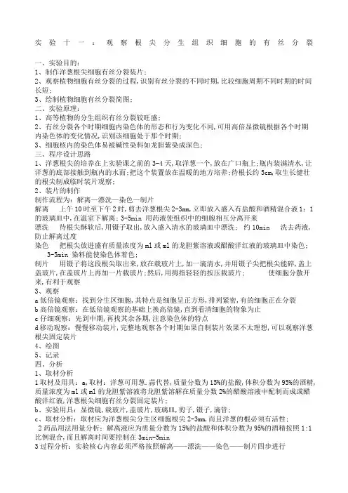 观察洋葱根尖有丝分裂实验