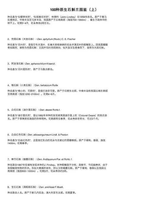 100种原生石斛兰图鉴（上）