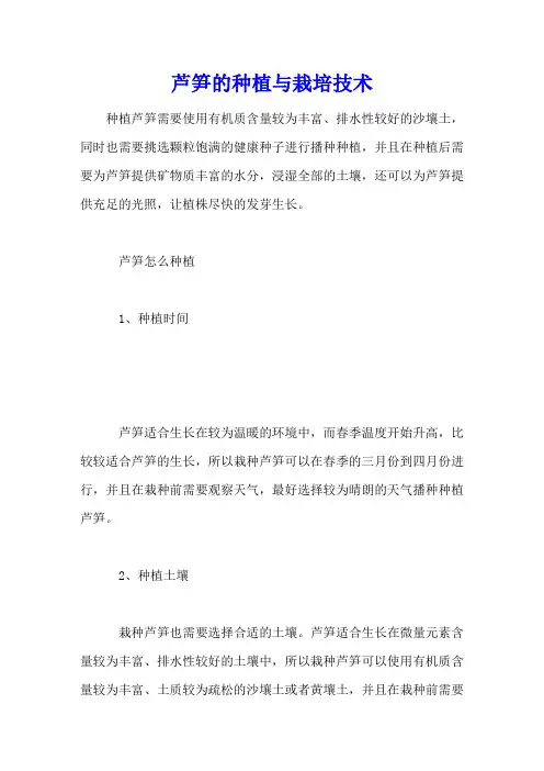 芦笋的种植与栽培技术