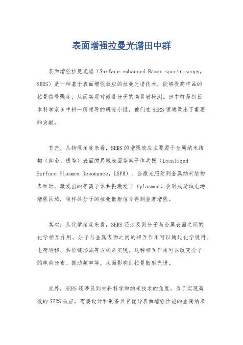 表面增强拉曼光谱田中群
