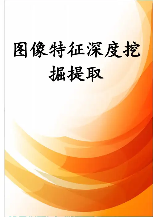 图像特征深度挖掘提取