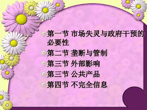 十一章市场失灵和微观经济政策