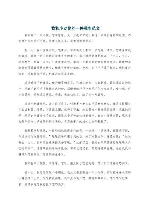 我和小动物的一件趣事范文