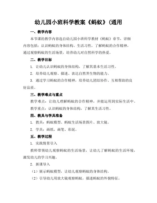 幼儿园小班科学教案《蚂蚁》(通用