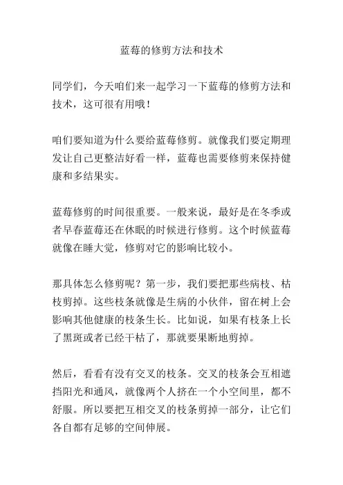 蓝莓的修剪方法和技术