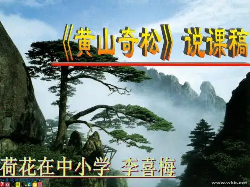 黄山奇松说课