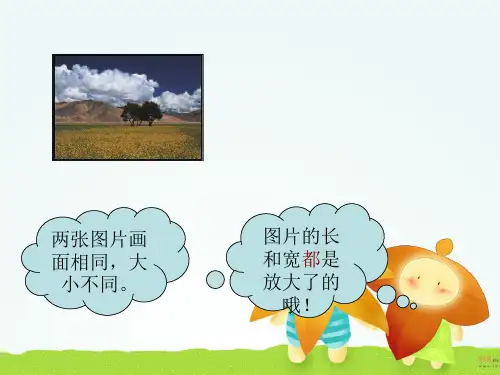 苏教版六下数学图形的放大与缩小课件3