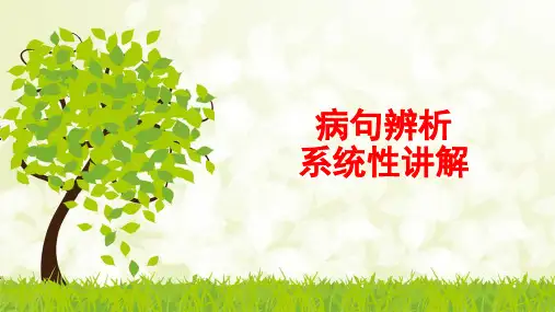 高考语文复习-病句辨析