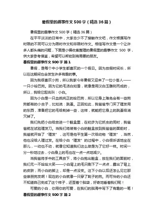 暑假里的趣事作文500字（精选36篇）