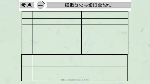 细胞分裂与细胞分化的区别和联系课件
