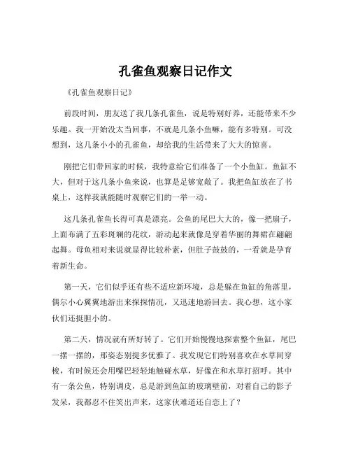 孔雀鱼观察日记作文