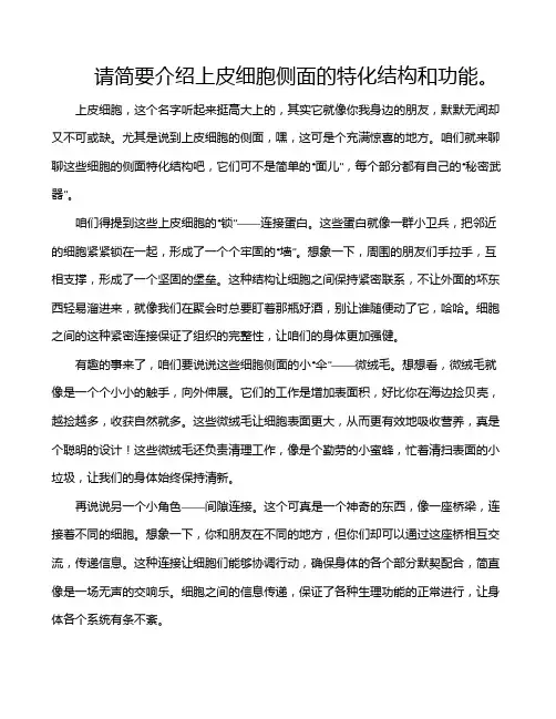 请简要介绍上皮细胞侧面的特化结构和功能。