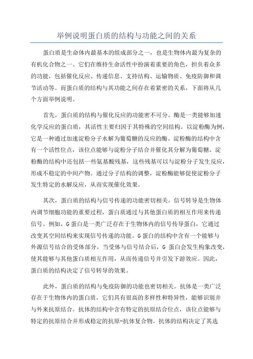 举例说明蛋白质的结构与功能之间的关系