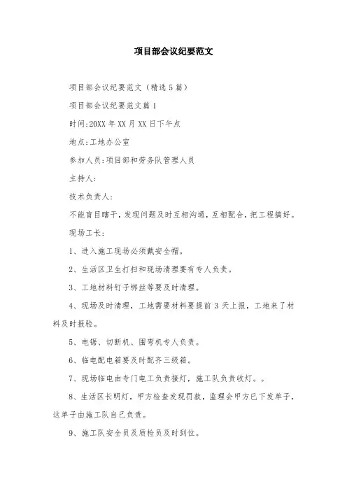 项目部会议纪要范文