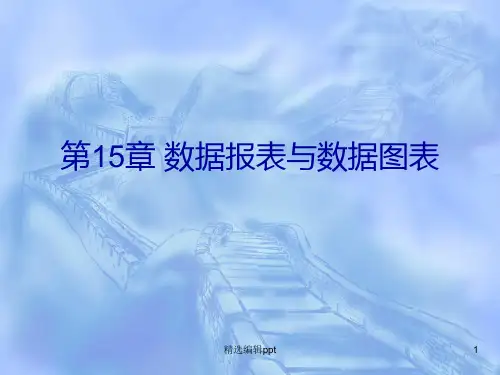 数据报表与数据图表ppt课件