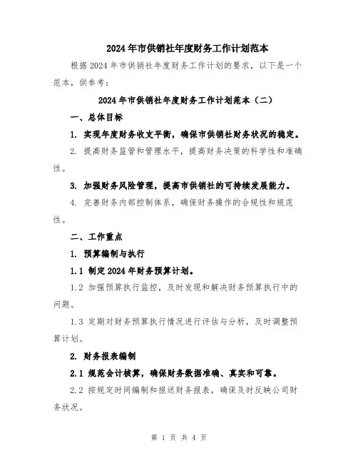2024年市供销社年度财务工作计划范本