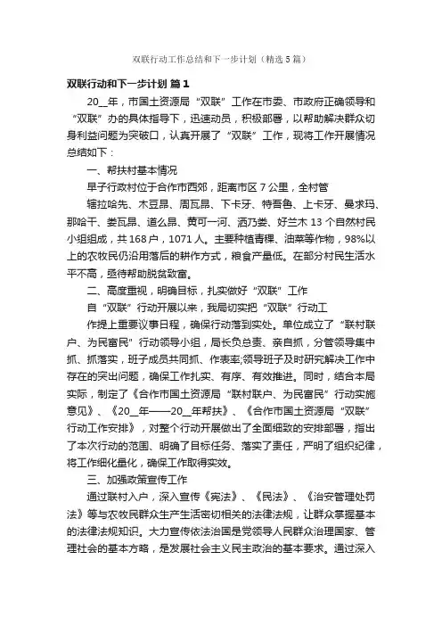 双联行动工作总结和下一步计划（精选5篇）
