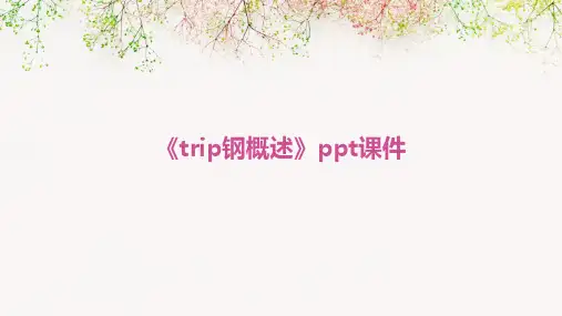 《TRIP钢概述》课件