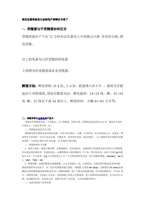 读完这篇你就是石金钱龟产卵孵化专家了