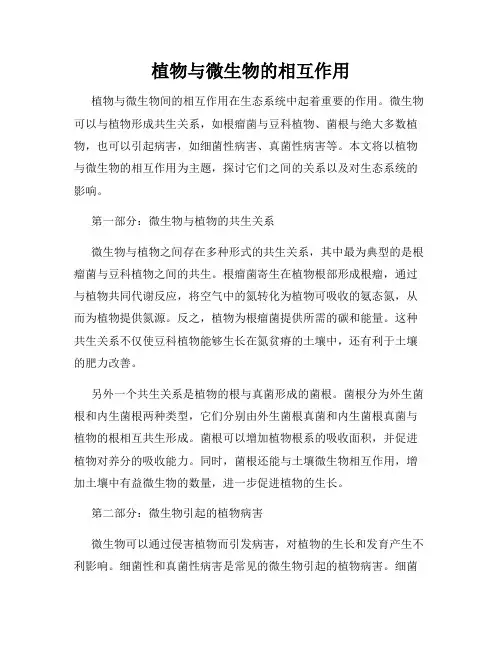 植物与微生物的相互作用