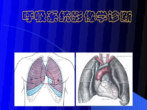 肺部基本病变的影像表现(肺门,纵隔,胸膜,横隔))