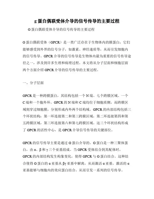 g蛋白偶联受体介导的信号传导的主要过程