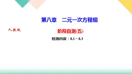 人教版七年级下册数学习题课件第八章阶段自测(五)
