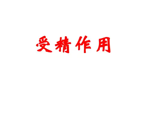 人教版高中生物必修2课件：2. 受精作用PPT下载