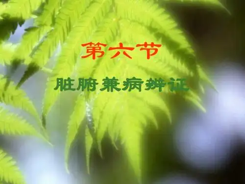 第8章脏腑辨证2