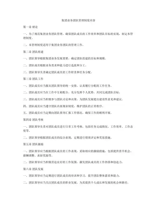 集团业务团队管理制度内容