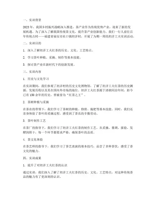 坦洋工夫实训报告