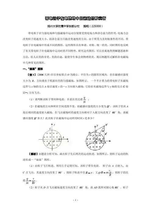 带电粒子在电磁场中的运动图形赏析